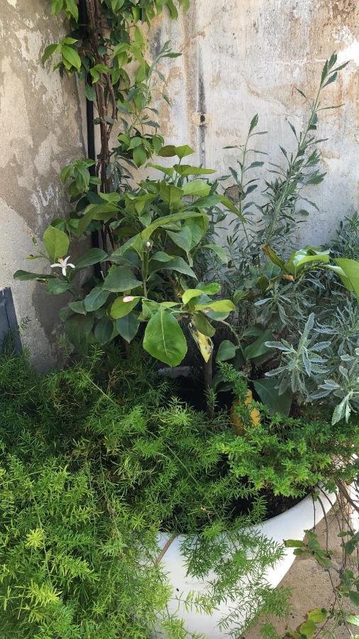 הוילה פלאצולו אקריידה A Casa Da Anita מראה חיצוני תמונה